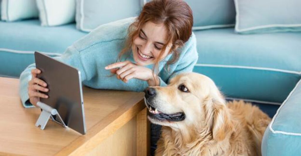 Pet Products online in USA