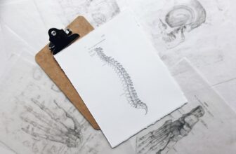 How Chiropractic Care Fits Into A Healthy Lifestyle