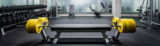 Build Your Home Fitness Corner on Any Budget: Essential Equipment Every American Should Own